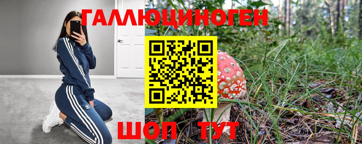 Псилоцибиновые грибы Psilocybine cubensis Малоярославец