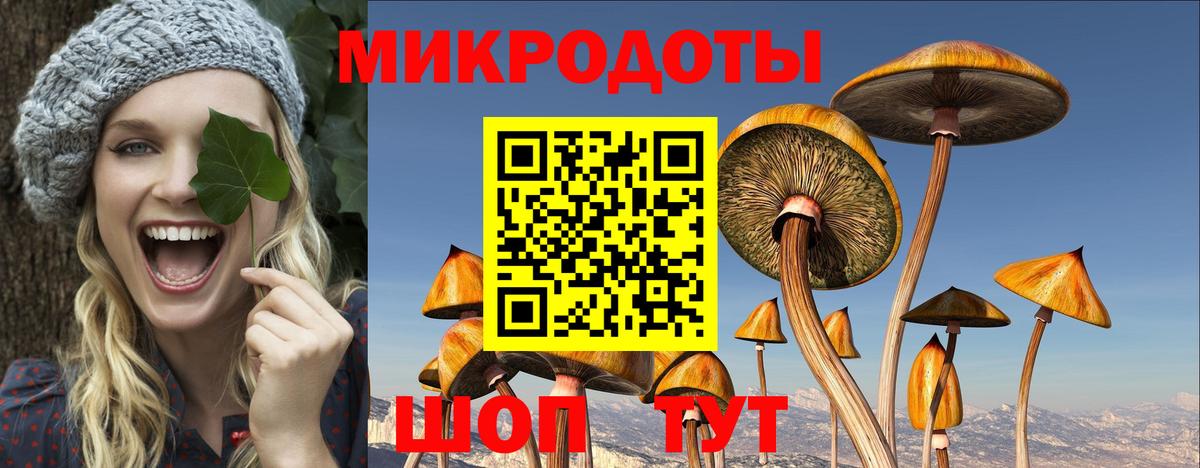 Галлюциногенные грибы Cubensis  где можно купить   Малоярославец 