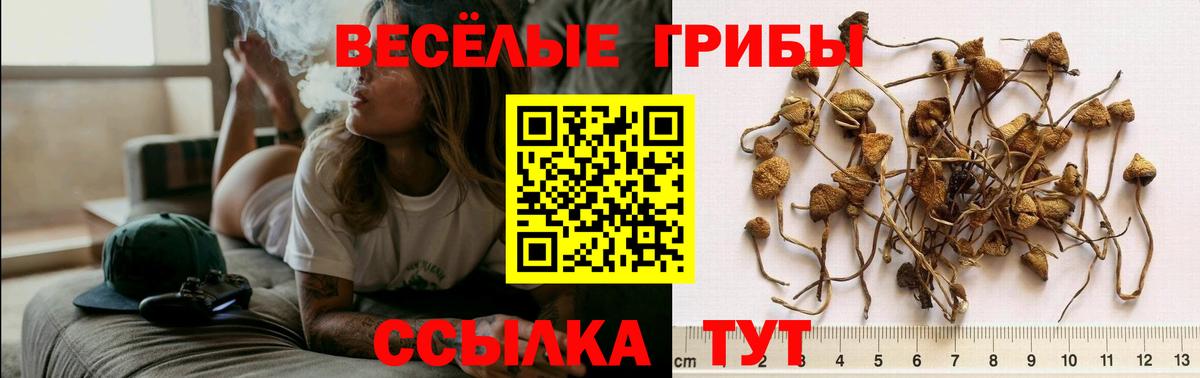 Псилоцибиновые грибы мухоморы  Вход с VPN  Галлюциногенные грибы Cubensis  Малоярославец 